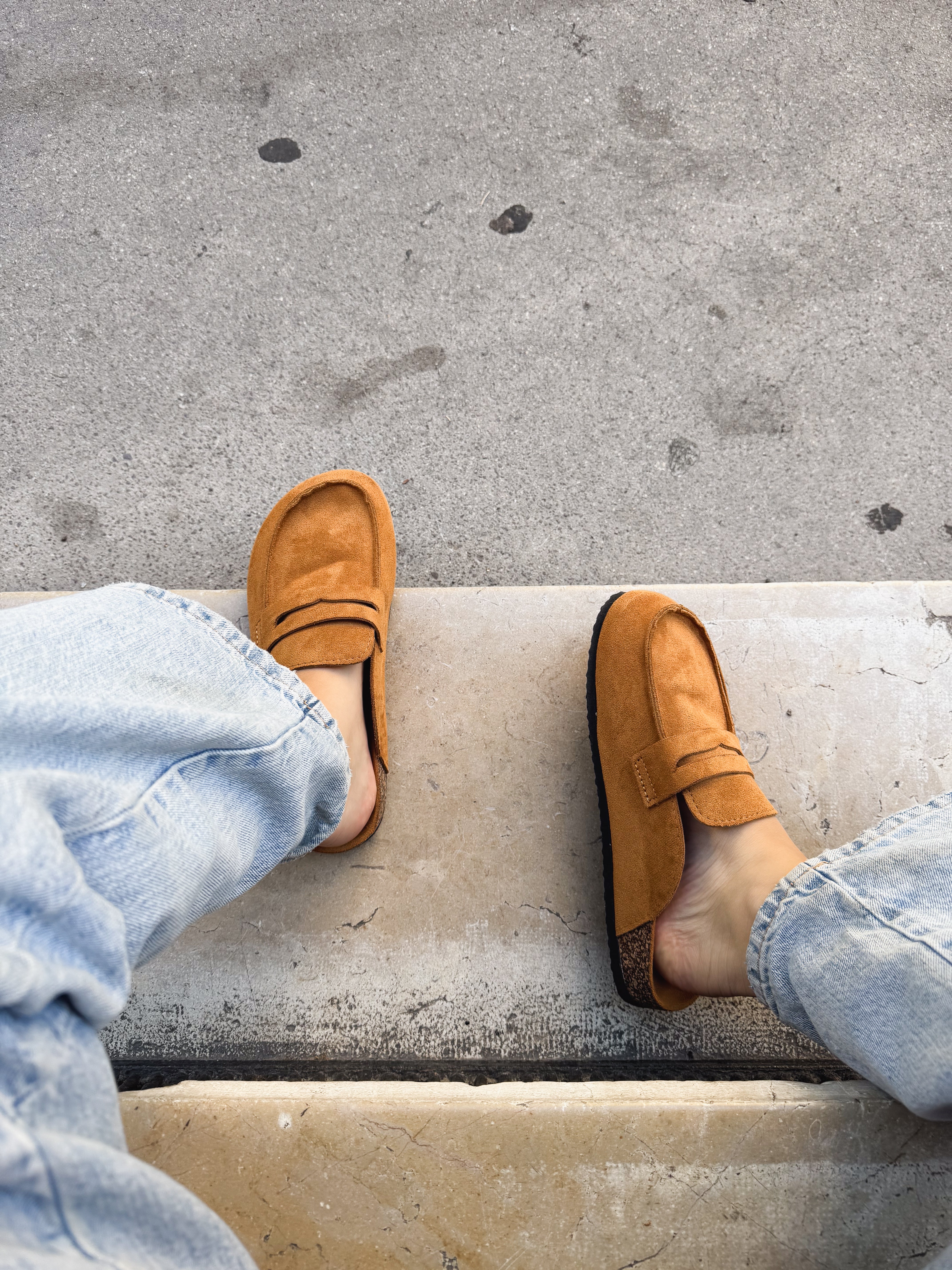 Mules Sacha camel