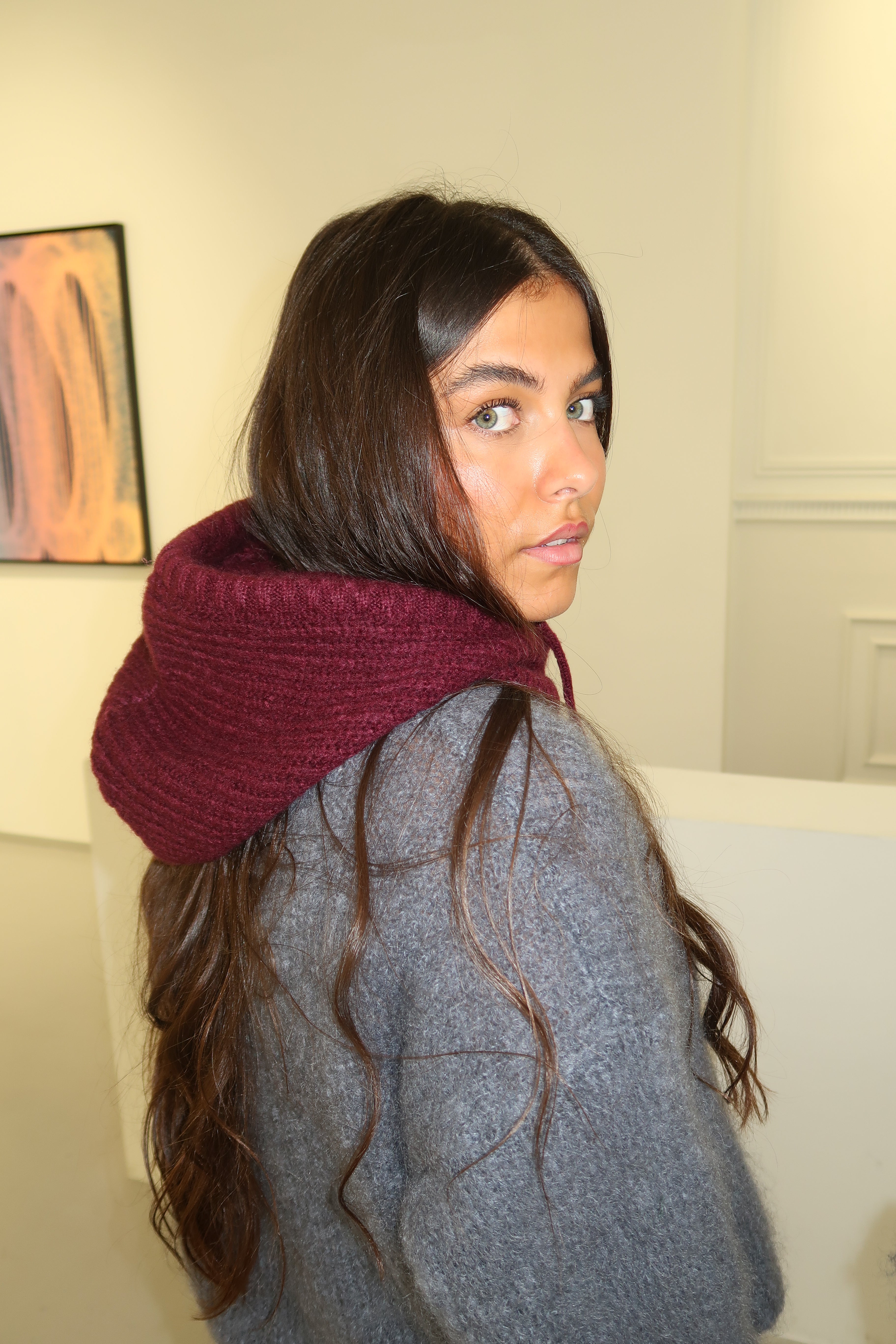 Diana Burgundy Balaclava